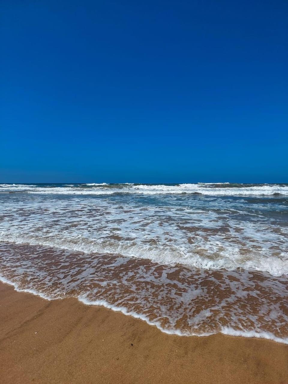 Bel Appartement De Plage - Rdc - Dahomey Beach Бузника Экстерьер фото
